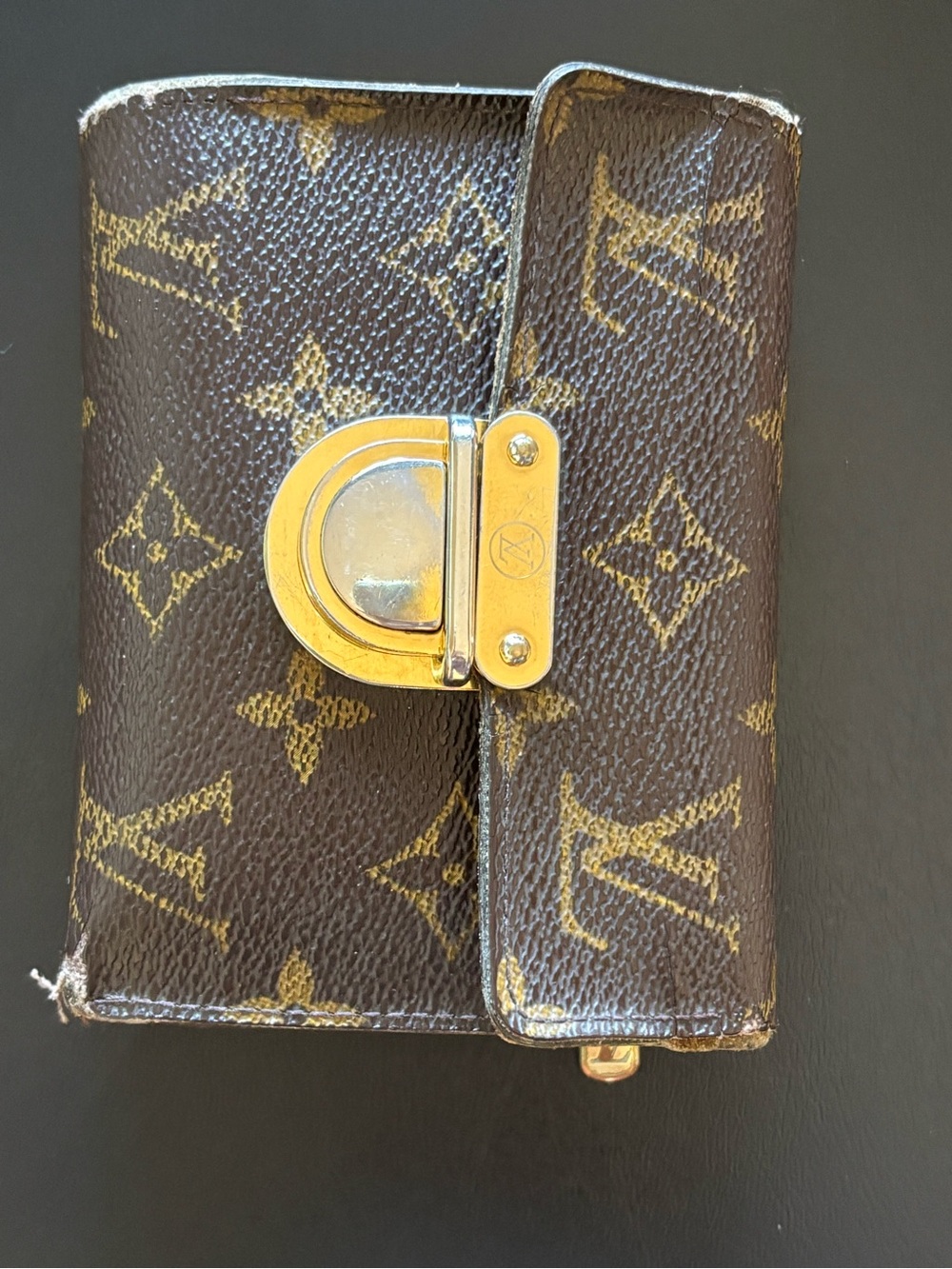 Louis Vuitton Monogram Canvas Koala